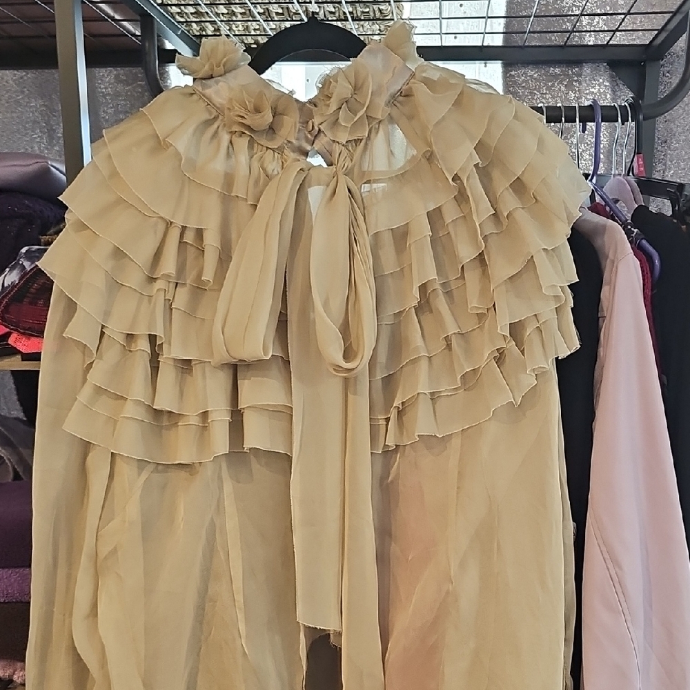 Dream Sheer Ruffle Button Down